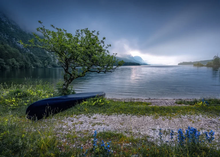 Lakeside scene in Slovenia (Lake Bohinj) with a wooden boat resting on the shore beneath a tree, soft light over calm water.
