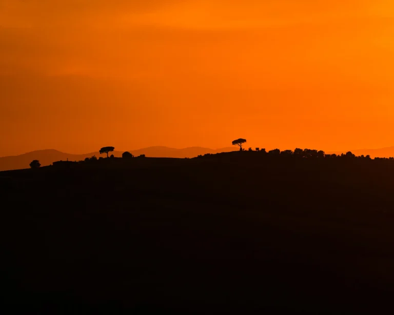 To ensomme trær i silhuett mot en glødende oransje solnedgang i Toscana, naturfotografi
